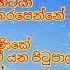 Jothipala Best Songs Collection Old Sinhala Songs අමරණ ය ජ ත ග H R Jothipala එච ආර ජ ත ප ල