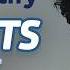Spotify Pop Hits 2025 Billie Eilish Ed Sheeran Bruno Mars Lady Gaga Tate McRae Dua Lipa