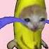 Banana Cat Crying 10 Hours