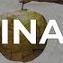 Do Latter Day Saints Believe In ORIGINAL SIN Faith And Beliefs Ep 3