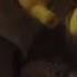 Shrek The Halls 2007 2010 Alternate Ending