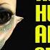 Why Are So Many Sci Fi Aliens Bipedal