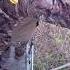 Копьё в сердце зверя один на один Shorts Shortsfeed Shortsviral Wildlife Hunting