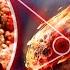 Signs Of Life In A Meteorite From Mars The Real Story Of ALH84001 And New Data