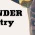 FOO FIGHTERS The Pretender DARK COUNTRY COVER