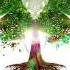 Lynx Tingling Roots Organic Beats Vol 3