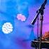 Larkin Poe NuDecoEnsemble Every Bird That Flies Live In Concert