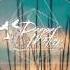 Barbary Monoteq Feat Mary S K Love To Find Toly Braun Remix