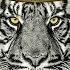 NEW Desiigner Type Beat TIGER Prod By GIMI Productions