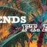 Big Gigantic Friends Feat Ashe 432hz