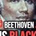 Beethoven Was Black The Truth They Buried In Classical Music History Blackhistory