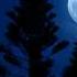 Eli Fur Night Blooming Jasmine Rodriguez Jr Remix 432hz