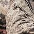 Warfare Official Trailer HD A24