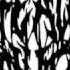Defeated Sanity Blissfully Exsanguinated