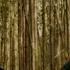 Hollow Coves Moments Gold Coast Acoustic Session