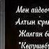 Нурмат Садыров мен айдоочу песня с текстом