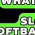 What Are The Best Slowpitch Softball Bats The Baseball Xpert