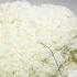 Japanese Minister S Rice Gaffe Shakes Ishiba Government Vantage With Palki Sharma N18G