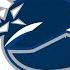 Vancouver Canucks Goal Horn ThankYouSedins