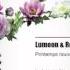 Lumoon Rob N Printemps Nouveau Original Mix