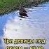 Три девицы