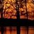 BERNWARD KOCH Anthem Relaxing Soothing Music
