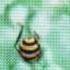 Bee Movie Full Screen