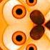 ORAnGEE BACKWARDS MIRROR 2 ALIEM VOICE Gummibär REQUE VIDEAUX Spanish Gummy Bear Song
