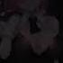 Blackoff Ft Sude Your Re Mine