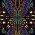 Orgones Fungus Funk Rmx