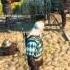 The Witcher 3 Wild Hunt Pam Pa Ram