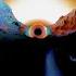Coldplay Moon Music A Film For The Future