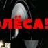 Стоп колёса Арсен Петросов Alexander Dantsevych VIDEO CLIPS STUDIO