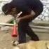 Dog Horn Today Facebook