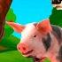 Animals For Kids 25 Min Farm Animal Sound