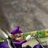 Mario Kart Wii Cup Star 100cc With Waluigi Wario Bike Mariokart Mariokartwii Gameplay Waluigi