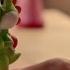 Mario Party 10 Amiibo Party Ad Wii U
