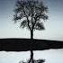 Seclusion The Tides 1 Hour Of Relaxing Music