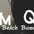 Beach Bunny Prom Queen Lyrics If I Get More PrettyDo You Think He Will Like Me