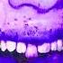 Uicideboy X Germ 20th Centurion Slowed Throwed By DJ Snoodie