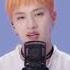 Stray Kids Sorry I Love You Bangchan S Part