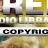Viking Music Valhalla Calling Solas No Copyright Music