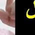احمد عبده ماهر حقيقة الاسراء والمعراج للرسول