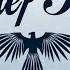 A Brief History False Angel Official Lyric Video