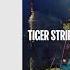 Tiger Stripes Your Love Neon Love Mix Drumcode