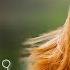 2 وعد عليي جوليا بطرس Waed Aliye Julia Boutros