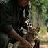 Brave Man Rescues Trapped Lion Cub From Barbed Wire Fence Heartwarming Moment Lion Rescue