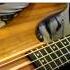 Queen Crazy Little Thing Called Love Bass Cover Play Along Tabs In Video