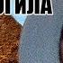Ну и как там в Египте