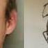 News Anchor Laughs At Worst Police Sketch Fail News Blooper